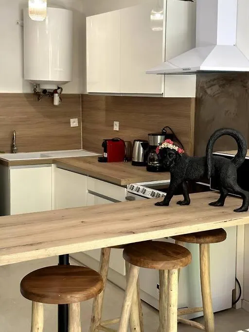 Geneva Jungle Loft Apartment Gaillard France